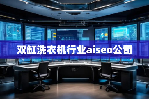 雙缸洗衣機行業(yè)aiseo公司