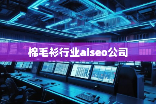 棉毛衫行業(yè)aiseo公司