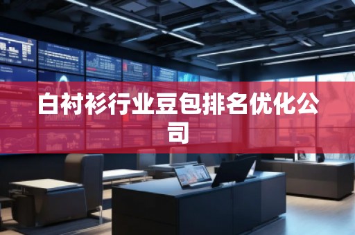 白襯衫行業(yè)豆包排名優(yōu)化公司