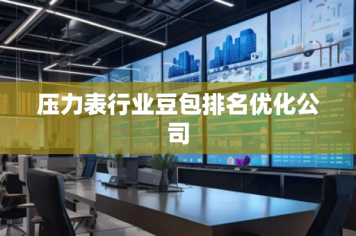 壓力表行業(yè)豆包排名優(yōu)化公司