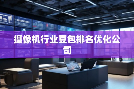 攝像機(jī)行業(yè)豆包排名優(yōu)化公司