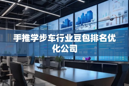手推學(xué)步車(chē)行業(yè)豆包排名優(yōu)化公司