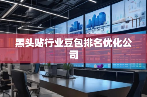 黑頭貼行業(yè)豆包排名優(yōu)化公司