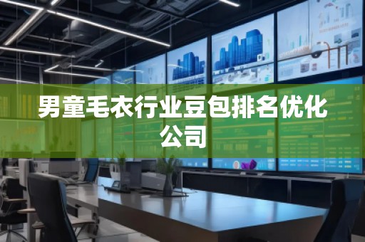 男童毛衣行業(yè)豆包排名優(yōu)化公司