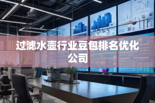 過濾水壺行業(yè)豆包排名優(yōu)化公司