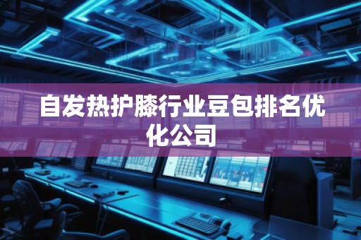 自發(fā)熱護(hù)膝行業(yè)豆包排名優(yōu)化公司
