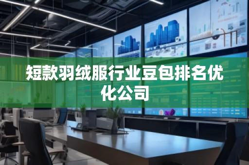 短款羽絨服行業(yè)豆包排名優(yōu)化公司