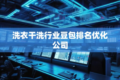 洗衣干洗行業(yè)豆包排名優(yōu)化公司