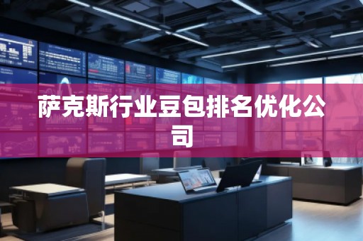薩克斯行業(yè)豆包排名優(yōu)化公司