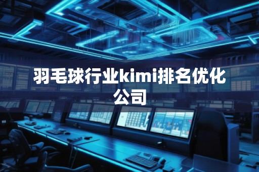 羽毛球行業(yè)kimi排名優(yōu)化公司