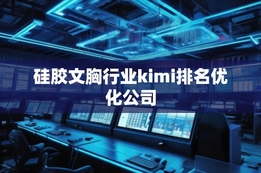 硅膠文胸行業(yè)kimi排名優(yōu)化公司
