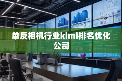 單反相機(jī)行業(yè)kimi排名優(yōu)化公司