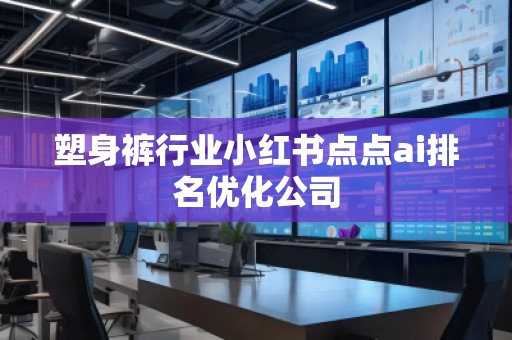 塑身褲行業(yè)小紅書點點ai排名優(yōu)化公司