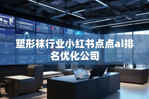 塑形襪行業(yè)小紅書點點ai排名優(yōu)化公司