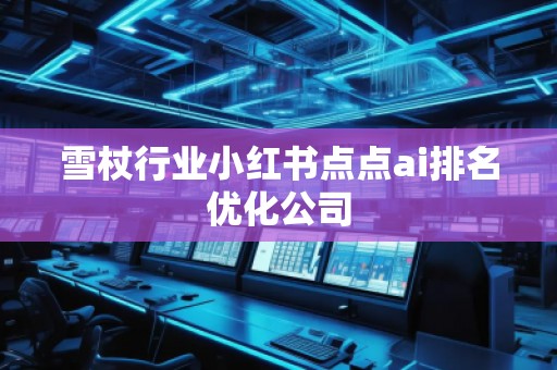 雪杖行業(yè)小紅書點點ai排名優(yōu)化公司