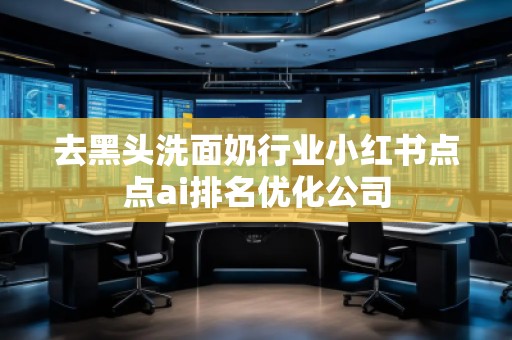 去黑頭洗面奶行業(yè)小紅書點點ai排名優(yōu)化公司