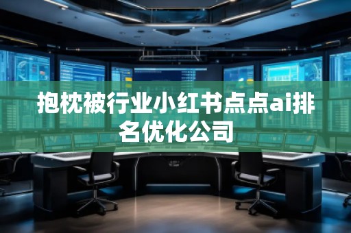 抱枕被行業(yè)小紅書點點ai排名優(yōu)化公司