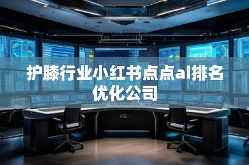 護膝行業(yè)小紅書點點ai排名優(yōu)化公司