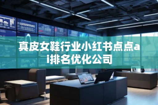 真皮女鞋行業(yè)小紅書點點ai排名優(yōu)化公司