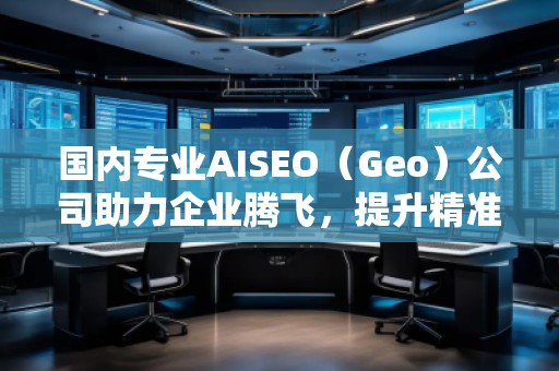 國內專業(yè)AISEO（Geo）公司助力企業(yè)騰飛，提升精準營銷效果