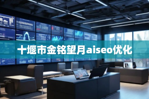 十堰市金銘望月aiseo優(yōu)化