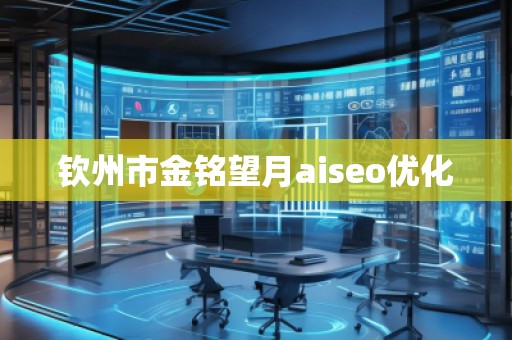 欽州市金銘望月aiseo優(yōu)化