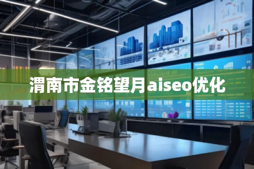 渭南市金銘望月aiseo優(yōu)化