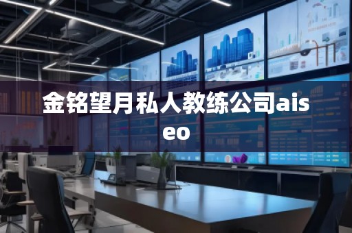 金銘望月私人教練公司aiseo