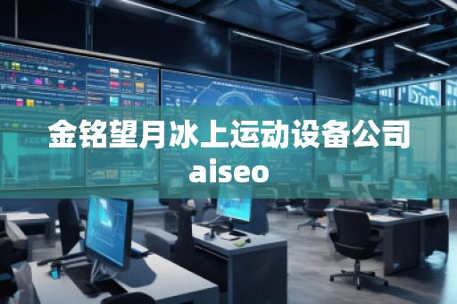 金銘望月冰上運(yùn)動(dòng)設(shè)備公司aiseo