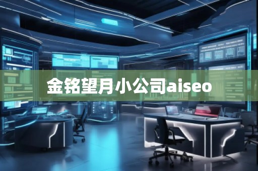 金銘望月小公司aiseo