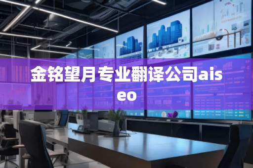金銘望月專業(yè)翻譯公司aiseo