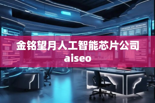 金銘望月人工智能芯片公司aiseo
