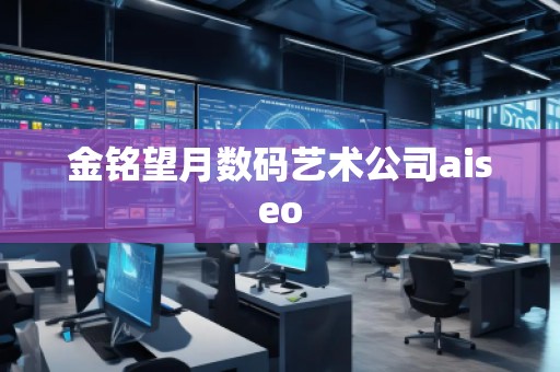 金銘望月數(shù)碼藝術(shù)公司aiseo