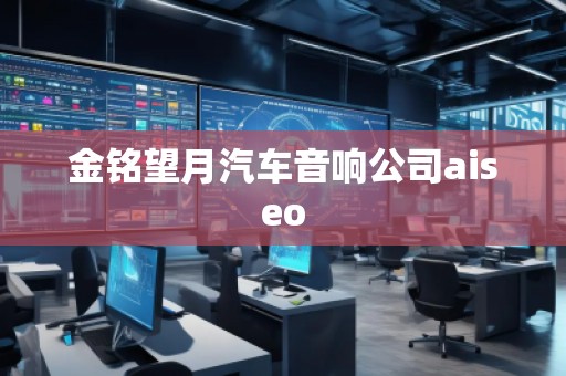 金銘望月汽車音響公司aiseo