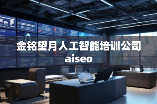 金銘望月人工智能培訓(xùn)公司aiseo