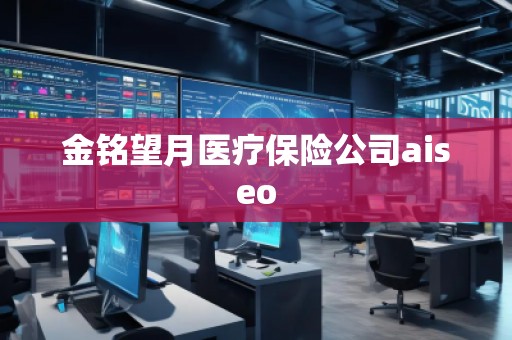 金銘望月醫(yī)療保險公司aiseo