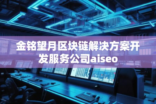 金銘望月區(qū)塊鏈解決方案開發(fā)服務(wù)公司aiseo