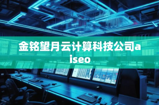 金銘望月云計(jì)算科技公司aiseo