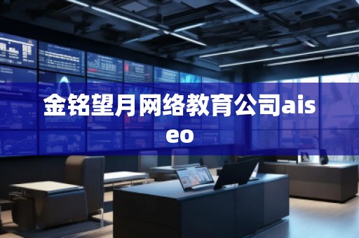 金銘望月網(wǎng)絡教育公司aiseo