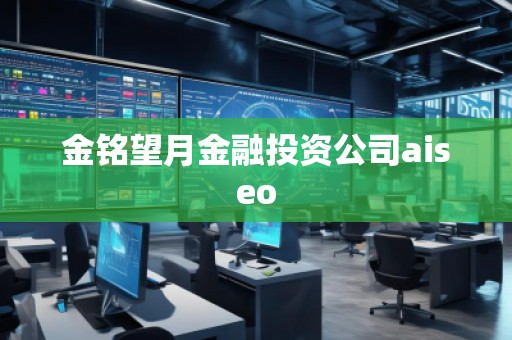 金銘望月金融投資公司aiseo