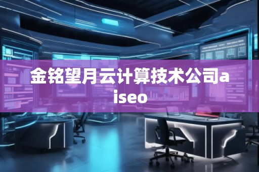 金銘望月云計(jì)算技術(shù)公司aiseo