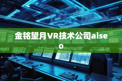金銘望月VR技術(shù)公司aiseo
