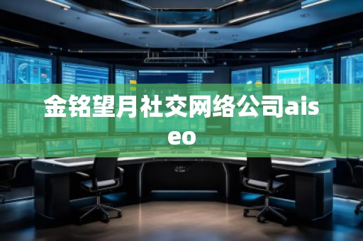 金銘望月社交網(wǎng)絡(luò)公司aiseo