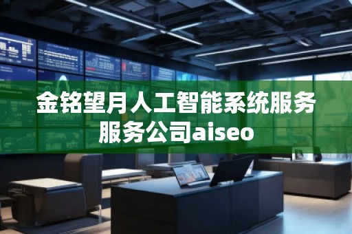 金銘望月人工智能系統(tǒng)服務服務公司aiseo