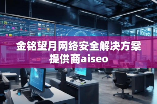 金銘望月網(wǎng)絡安全解決方案提供商aiseo