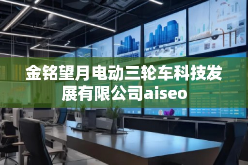 金銘望月電動(dòng)三輪車科技發(fā)展有限公司aiseo