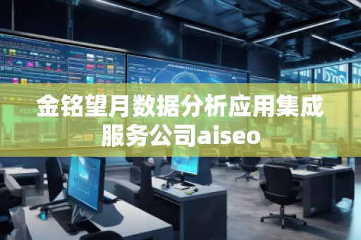 金銘望月數(shù)據(jù)分析應用集成服務公司aiseo
