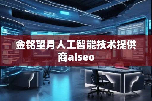 金銘望月人工智能技術提供商aiseo