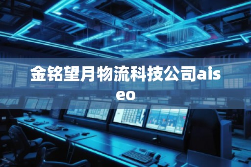 金銘望月物流科技公司aiseo