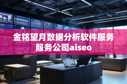 金銘望月數(shù)據(jù)分析軟件服務(wù)服務(wù)公司aiseo